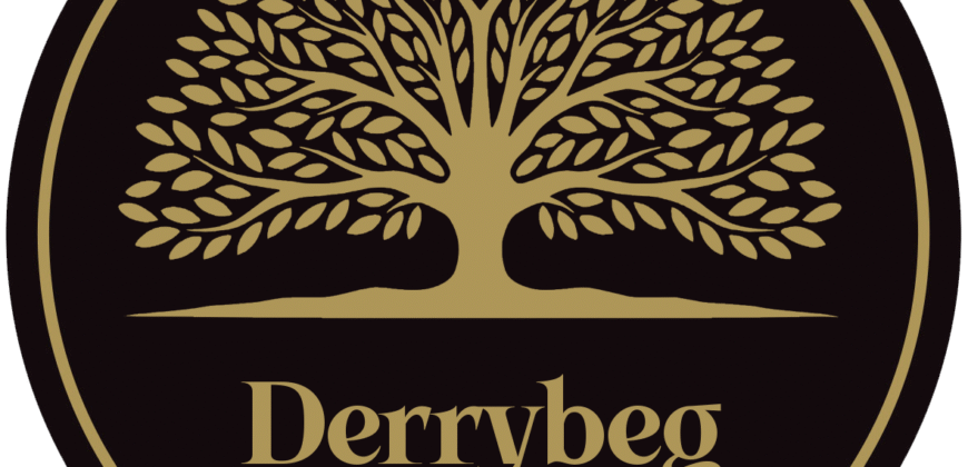 Derrybeg Avenue, Mountrath, Co. Laois
