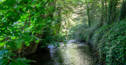 Tinnycross, Tullamore, Co. Offaly