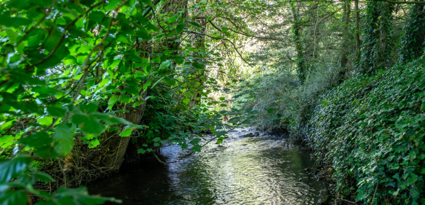Tinnycross, Tullamore, Co. Offaly