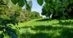 Tinnycross, Tullamore, Co. Offaly