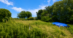 Cloonagh Beg, Clonaslee, Laois  R32RH99