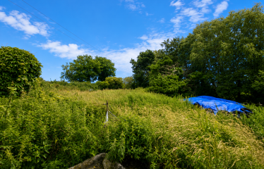 Cloonagh Beg, Clonaslee, Laois R32RH99