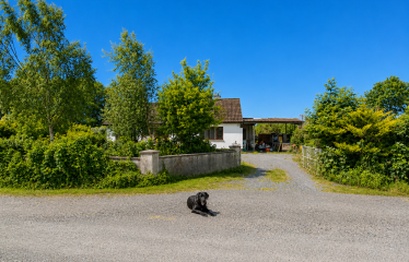 Cloonagh Beg, Clonaslee, Laois R32RH99