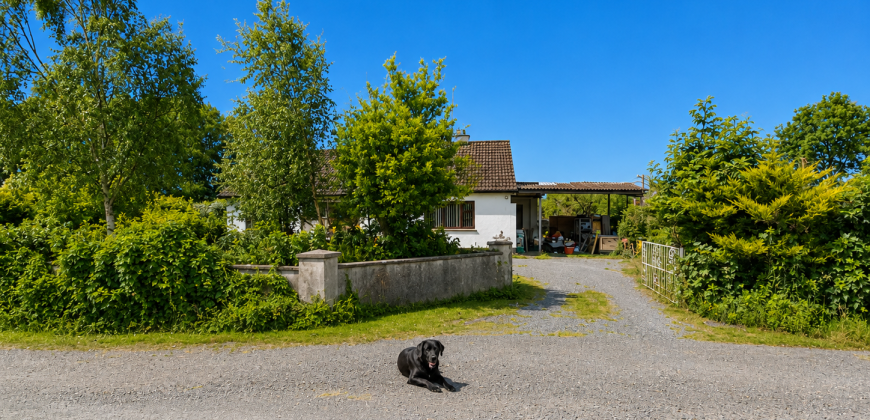 Cloonagh Beg, Clonaslee, Laois  R32RH99